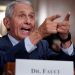 Fauci: Omicron hemen hemen herkese bulaşacak