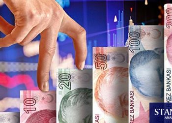 “Türk Lirası önemli bir para birimi olma özelliğini kaybetti”