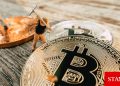 Bitcoin ağ etkinliği, piyasa koşullarına rağmen artıyor