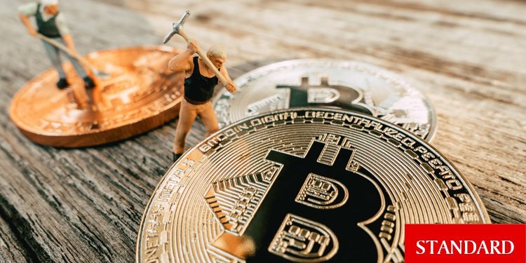 Bitcoin ağ etkinliği, piyasa koşullarına rağmen artıyor