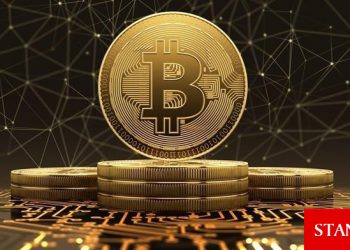 Bitcoin ağ etkinliği, piyasa koşullarına rağmen artıyor