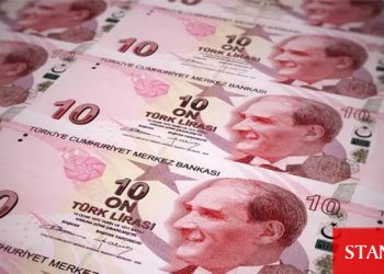 Yeni 10 TL’lik banknotlar tedavülde