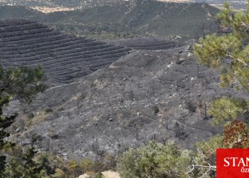 Yanan ormanlık alanlar rant sahasına dönmesin