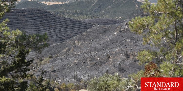 Yanan ormanlık alanlar rant sahasına dönmesin