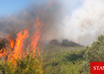 Mersinlik Bölgesi’nde çıkan yangın kontrol altına alınamadı