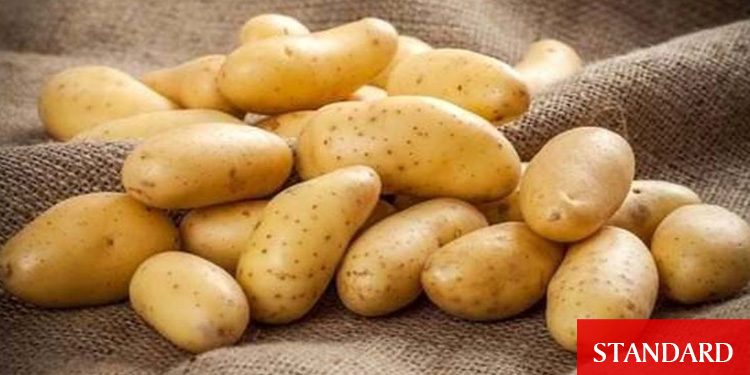 Patates üreticilerine önemli duyuru!