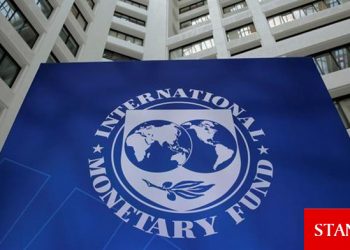 IMF’den petrol ihracatçısı ülkeler için gelir analizi