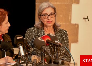 CTP 7, UBP 6, TDP 1, DP 1 ve bağımsızlar 3 belediye kazandı