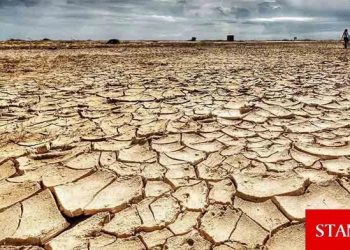 2045 yılına kadar yaklaşık 135 milyon insan evinden olabilir