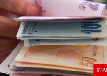 Asgari ücret Resmi Gazete’de yayımlanarak yürürlüğe girdi