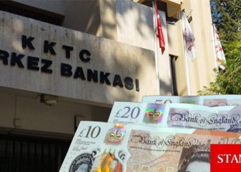 Merkez Bankası, sterlin karşılığı iki senet ihraç ihalesi açtı