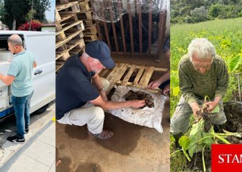 Yeşil Hat Tüzüğü kapsamındaki satışlarda bir yılda yüzde 12,9 artış…