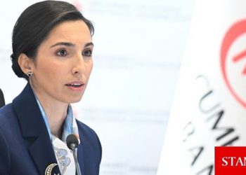 TCMB Başkanı Erkan: Reeskont limitini artırma çalışmalarımız sürüyor