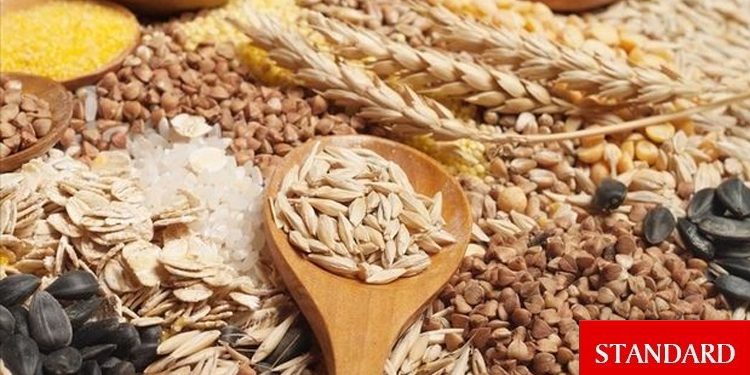 Dünya gıda fiyatları Kasım’da değişmedi