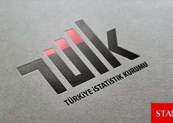 TÜİK: Resmi TÜFE verisini eleştirmek manipülatif ve art niyetli bir yaklaşımdır