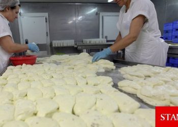 Hellim dosyası aleyhine bir dava daha beklemede