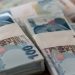 Türkiye’den kamu maliyesi için gelmesi öngörülen rakamın yüzde 60’ı gerçekleşmedi!
