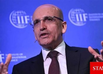 Şimşek: Yabancı sermaye girişleri beklentileri aştı