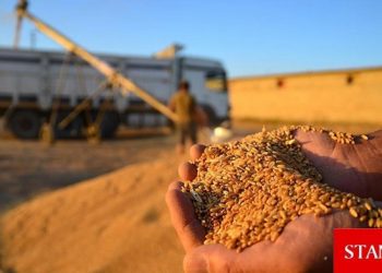 Hububat ihracatı ilk 4 ay içinde 4 milyar doları buldu
