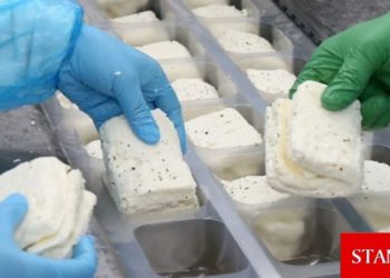 Hellim standardına uyum için Avrupa Konseyi’nden 5 yıl uzatma alındı