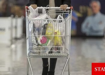 TÜİK Başkanı Çetinkaya’dan enflasyon hesaplaması eleştirilerine yanıt