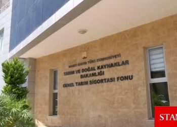Balıkçılık İzinleri ve Sürdürülebilir Kullanım Tüzüğü’nde bazı maddelerde değişiklikler yapıldı