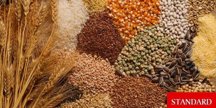 Hububat ihracatı yılın ilk 7 ayında 6,8 milyar dolar oldu