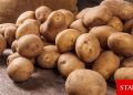 İlkbahar patates satışları yarından itibaren başlıyor