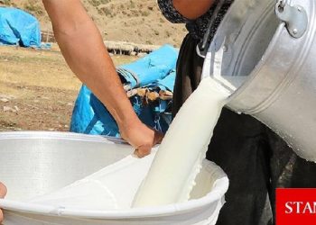 Hayvancılardan süt fiyatlarına artış talebi
