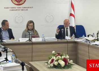 Komitede Türk Ajansı Kıbrıs ve Sivil Savunma Teşkilat Başkanlığı bütçeleri kabul edildi