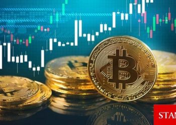 Bitcoin’den yeni rekor: İlk kez 94 bin doları aştı