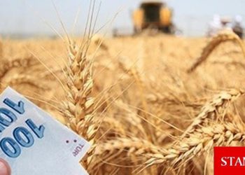 Buğday ödemeleri başladı