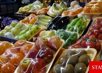 Türkiye’de hanehalkı enflasyon beklentileri geriledi