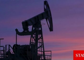Petrol belirsizliklere rağmen kazançlarını koruyor