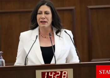Sıla Usar İncirli: Bu ülkede ekonomik kriz ve işsizlik sorunu var