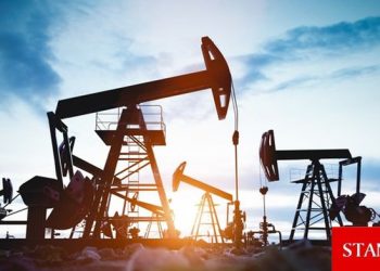 Petrol kazançlarını korudu