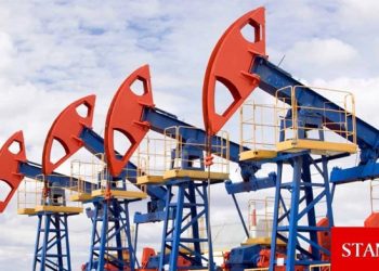 Petrol ABD enflasyon verisi sonrası kazançlarını korudu