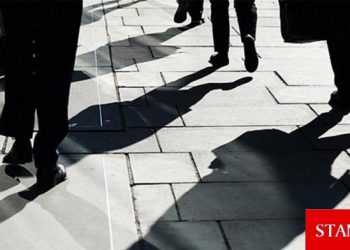 KKTC genelinde 2024 yılında işsizlik oranı yüzde 4.9, istihdam oranı yüzde 50.5