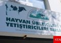 Hayvan Üreticileri ve Yetiştiricileri Birliği: El-Sen haklı çıktı! Üretici karanlığa mahkum edildi
