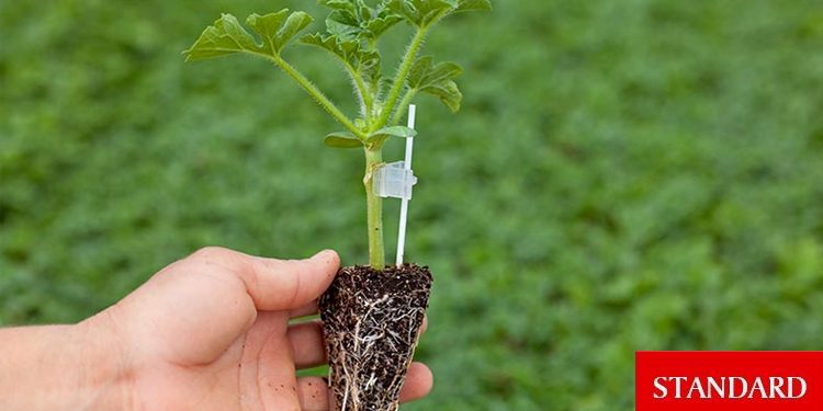 Fide desteği için üreticilerden 3 Ekim’e kadar başvuru kabul ediliyor