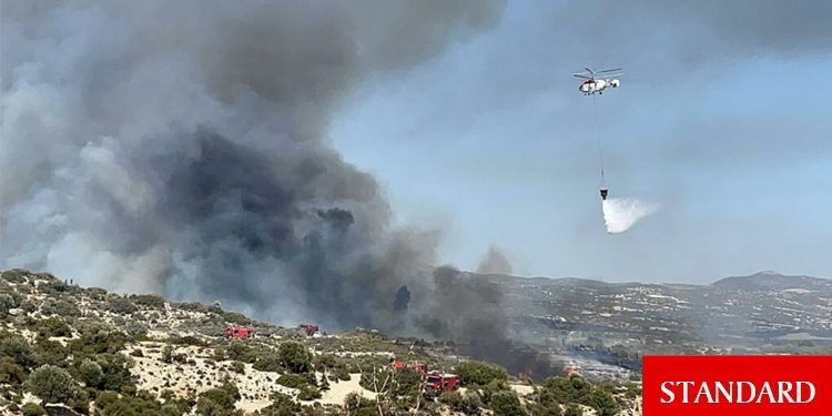 Güney’de çiftçilere yangın ve olumsuz hava koşullarından ötürü tazminat