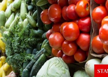 Güney Kıbrıs’ta taze sebze fiyatları yüzde 20 oranında zamlandı