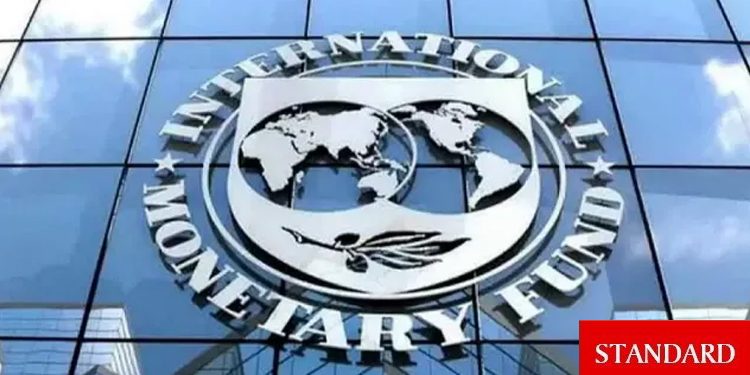 IMF: Güçlü para politikaları dayanıklılığı destekledi