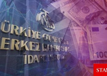Türkiye Merkez Bankası rezervlerinde yeni rekor