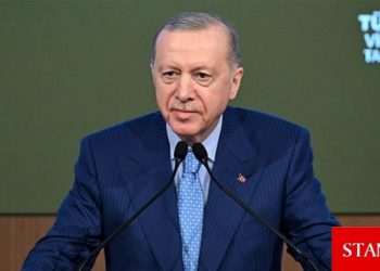 Erdoğan: KKTC’nin gözlemci statüsüyle aramıza katılması,  genişleyen vizyonun işaretlerinden biridir
