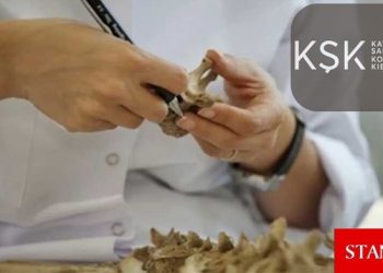 Macaristan’dan Kayıp Şahıslar Komitesi’ne 20 bin Euro bağış