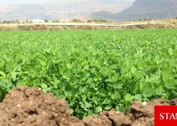 Karpaz Koruma Derneği’nden ürün kaybı ödemesine destek
