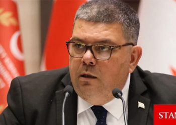 Berova: Borçlanma ihtiyaç olduğu sürece devam edecek