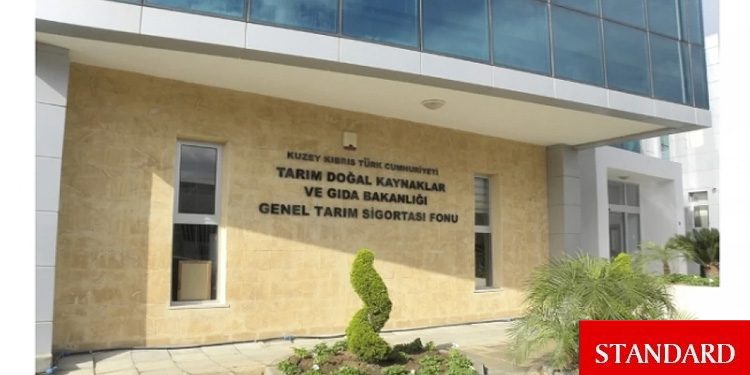 Tarım Bakanlığı’ndan sebze üreticilerine 5 TL’lik fide desteği
